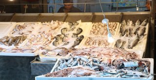 Balıkçılar 1 Eylülde Vira Bismillah Diyecek