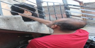 Pazardan Aldığı Keçi Çocuğu Gibi Oldu