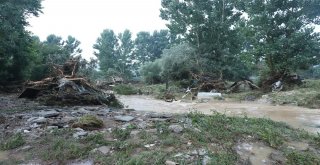 Selin Vurduğu Ballıkayalar Gündüz Görüntülendi