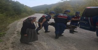Jandarma, Sırtında Odun Taşıyan Yaşlı Kadına Yardım Etti