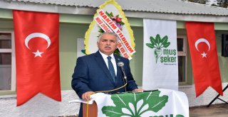 Muşta Pancar Alım Kampanyası Start Aldı