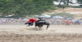 Ata Sporları Rekor Kırdı