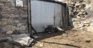 200 Kişilik Ekip Her Yerde Sedanuru Arıyor