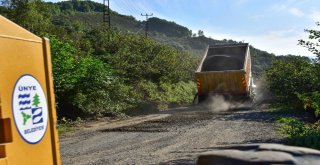 Ünyede Pelitliyataka 3 Milyonluk Yatırım