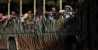 (Özel Haber) Gaziantep Hayvanat Bahçesi Rekorları Alt Üst Ediyor