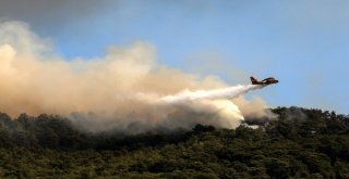 Vali Karaloğlu: Orman Yangınıyla İlgili Her Türlü Soruşturma Titizlikle Yürütülüyor