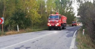 Tavşanlıdaki Orman Yangınını Söndürme Çalışmaları Sürüyor
