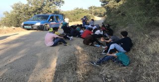 Çanakkalede 40 Kaçak Göçmen Yakalandı
