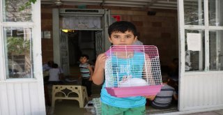 Kuran Öğrenmeye Tavşanıyla Geliyor