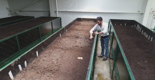 Solucan Sevgisi İş Sahibi Yaptı