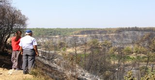 Antalyada Yangının Ardından Ürküten Manzara