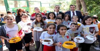 Haylaz Şempanzeyi Zapt Etmek Güç Oldu