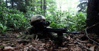 Jöperler İlk Defa Bu Kadar Yakından Görüntülendi