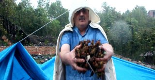 Sel Bu Kez Ünyeyi Vurdu