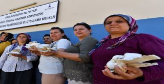 İstiridye Mantarı Yetiştiren Kadınlar Artık İş Dünyasında