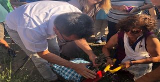 Lavantalı Günler İlgi Gördü