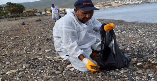 Foçadaki Denizin Temizlik Çalışmalarında Sona Yaklaşılıyor