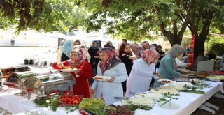 Dezavantajlı Kadınlara Piknik Etkinliği