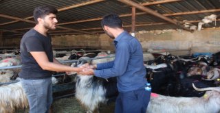 Kurban Pazarında Yoğunluk