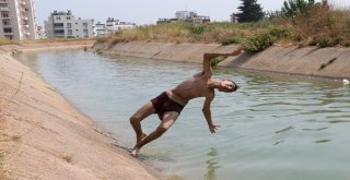 Tehlikeyi Bile Bile Atlıyorlar