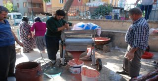 Domates Çekme Makinesi Kadınların İşini Kolaylaştırdı