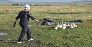 Hayallerini Toprağa Gömdü