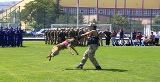 Jakem Komutanlığına Bağlı Köpeklerin Gösterileri Nefesleri Kesti