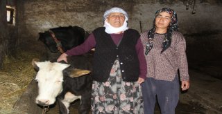 Ermenistanda Tutuklanan Karslı Umut Ali Serbest Bırakıldı