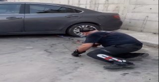 Hastane Bahçesinde Kara Yılan Yakalandı