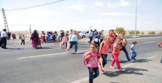 Cizrede Üst Geçit Eylemi