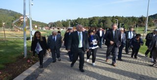 İngiltere Büyükelçisi Chilcottun Sipsi İle Mücadelesi