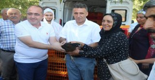 Elazığda 95 Aileye Yumurta Tavuğu Hibe Edildi