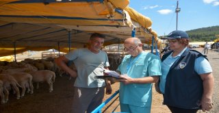 Maltepede Kurban Denetimi