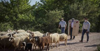 Tunç Soyer: Mera varsa hayat vardır