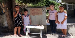 Miniklerden Sokak Hayvanları İçin Anlamlı Proje