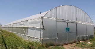 Manisa Büyükşehirin Projesi Üreticiye Kazandırdı
