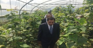 Tarımla Engelleri Aşıyoruz İlk Meyvelerini Verdi