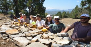Genç Gönüllüler, Tarihi Antik Yolda Çalıştılar