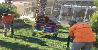 Başkan Akından Kedilere Barınak