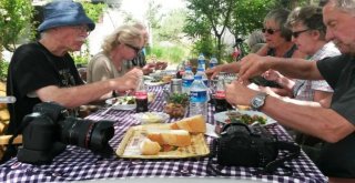 Meksikadan Bafaya Gizemli Yolculuk