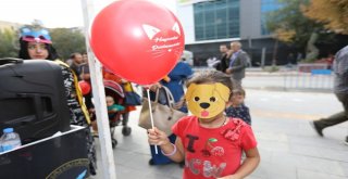İpekyolu Belediyesinden ‘Dünya Hayvanları Koruma Günü Etkinliği
