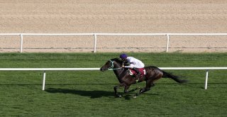 Başkanlık Koşusunda Kazanan Montana