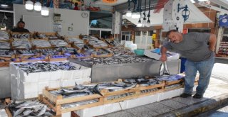 Tezgahlar Balık Çeşitleriyle Doldu