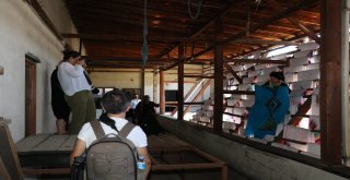 Safaristanbul Tokatı Fotoğrafladı