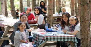Halk Sağlığı Haftası Doğa Yürüyüşü İle Kutlandı