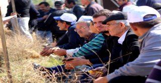 Muğlada ‘Rahvan Atyarışı