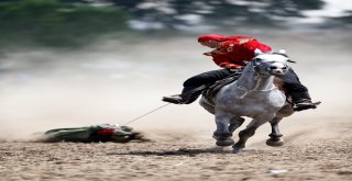 Ata Sporları Rekor Kırdı