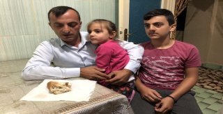 Ekmekten Yara Bandı Çıktığı İddiası