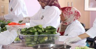 Gastronomi Kenti Hatayda Dolmalık Ve Turşuluk Salatalıklar Kışa Hazırlanıyor