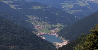 Uzungöl ‘Teleferik Projesinde İlk Adım Atıldı